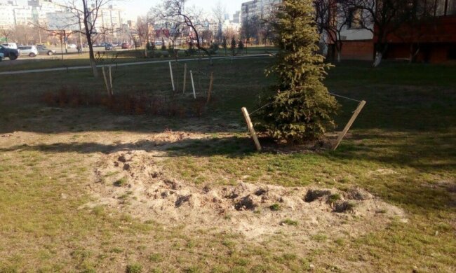 Зібрано 6 тис. підписів до петиції із закликом припинити знищення зелених насаджень на прибудинкових територіях у столиці