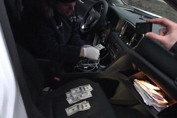 Інспектора з охорони навколишнього середовища Київщини затримано на хабарі