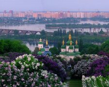 В Києві відкрили ботсад: бузок, магнолії та величезні черги