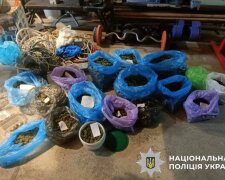 Наркофермер зі Ржищева: поліція вилучила 14 кг канабісу в морозилках