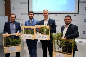 Висадка дерев у Києві буде регулюватись спеціальними нормами
