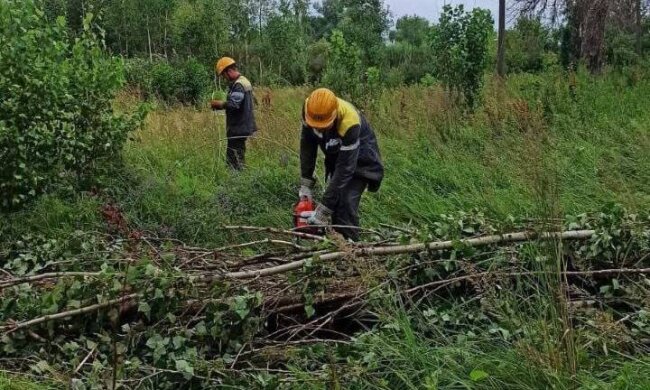 Через негоду на Київщині понад 100 населених пунктів залишилися без електропостачання