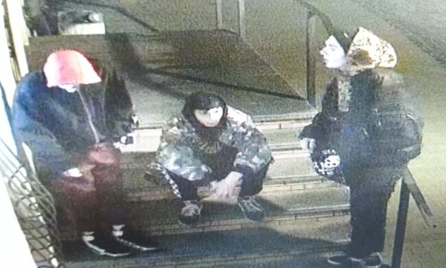 Фото та відео молодиків, які пошкодили підсвітку на Алеї художників, передали до поліції (відео)