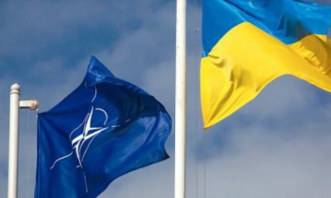 Північноатлантична рада НАТО приїде до Одеси