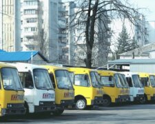 Проїзд в київських маршрутах поки дорожчати не буде