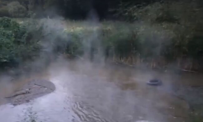 Потоки окропу: в озеро Голосіївського парку зливають гарячу воду (відео)