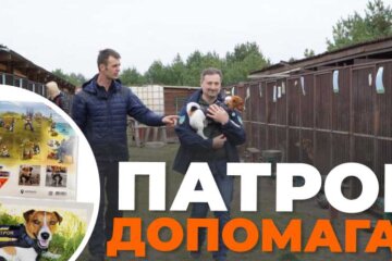 Пес Патрон та “Укрпошта” допомогли у відновленні вольєрів у Гостомельському притулку внаслідок обстрілів