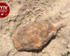 На Нивках на дитячому майданчику в пісочниці знайшли гранату