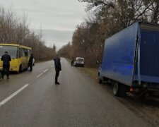 На Київщині у ДТП з маршруткою постраждала жінка