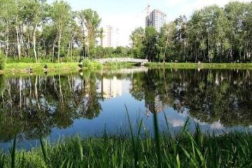 На Київщині виявили небезпечні мікроорганізми в одному зі ставків Обухова