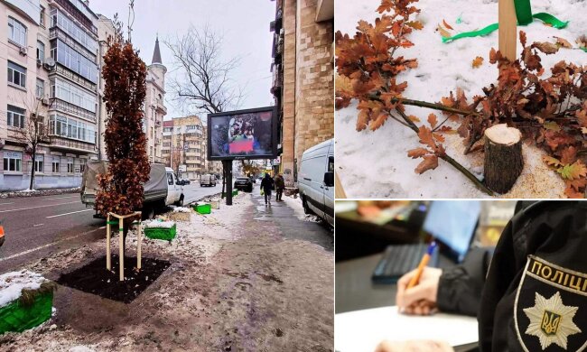 Поліція Києва відкрила справу за фактом знищення дуба, посадженого у пам'ять про загиблого Романа Ратушного