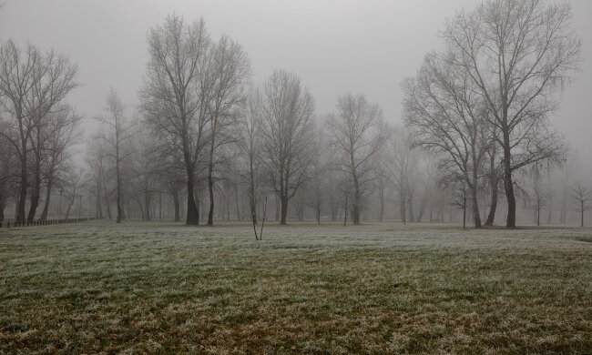 Невеликий сніг та туман: ДСНС попереджає про погіршення погоди
