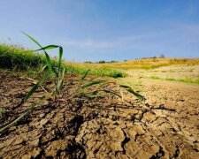 Опустелювання загрожує щонайменше 39 мільйонам гектарів українських сільськогосподарських земель