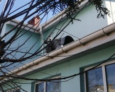 Росія завдала ракетний удар по Одещині: пошкоджений дитсадок