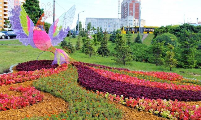 На Солом’янці оселився квітучий Диво-птах (фото)