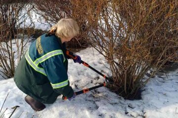 Весняне перевтілення столиці: у київських парках готують рослини до пишного цвітіння