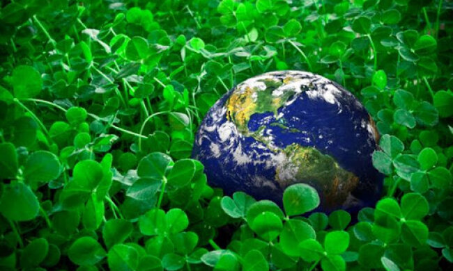 Які екологічні права мають українці