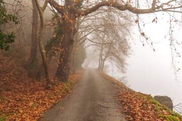 В Україну йде сильний вітер і суттєве похолодання
