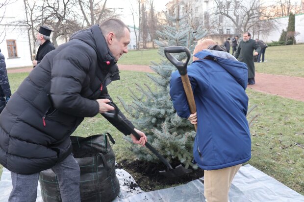 На території Софії Київської з’явилися ялинки, висаджені на честь першого святкування Різдва за новим календарем