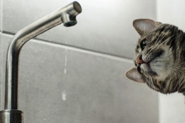 Киянам вимкнули воду: список адрес