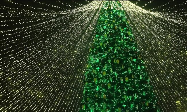 На Софійській площі встановили головну ялинку країни (відео)