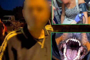 У Києві неадекватний собачник нацькував агресивну собаку на перехожу через сварку