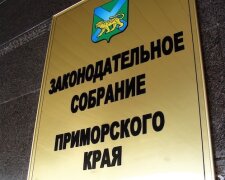 Абсолютний демарш. Депутати Примор’я вимагають від Путіна вивести війська з України