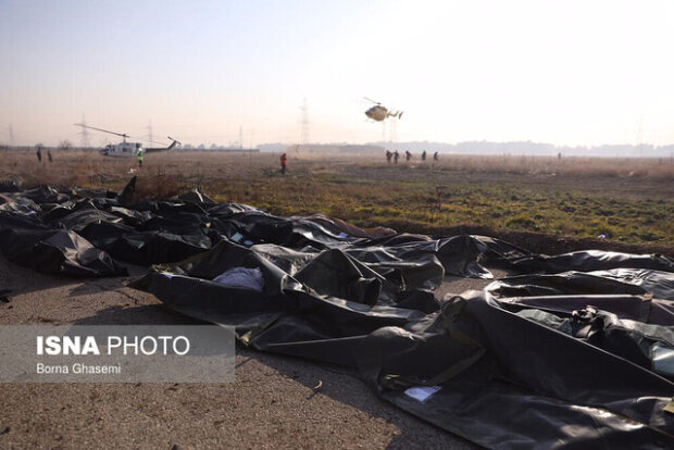 В авіакатастрофі в Ірані загинули громадяни 7 країн, серед них 11 українців: імена загиблих