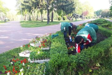 Масове озеленення у квітні: як комунальники змінили за місяць Солом`янський район (відео)