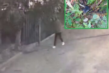 Киянин зробив саморобну вибухівку із пультом радіокерування та підірвав її у с. Гора, поранивши чоловіка