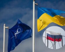 Росію визнали державою-терористом: Парламентська асамблея НАТО прийняла тверде рішення