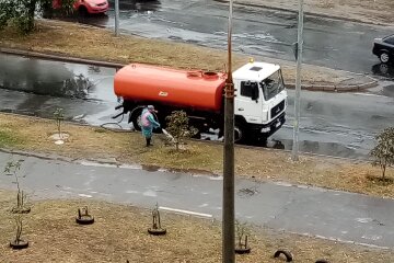 Кияни дивуються: пішли дощі – почали поливати дерева (відео)