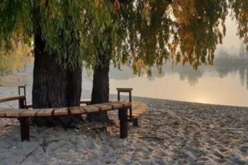 «Яр пролісок» та інші: 6 зелених зон столиці отримали охоронний статус