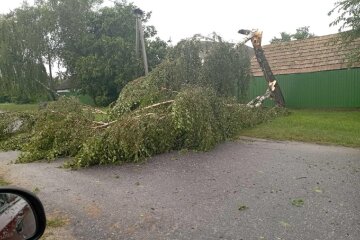 У Київській області внаслідок грози є знеструмлення - частина Баришівської громади без світла