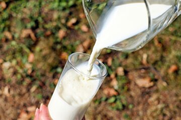В Україні стрімко зростає ціна на молоко та молочні продукти