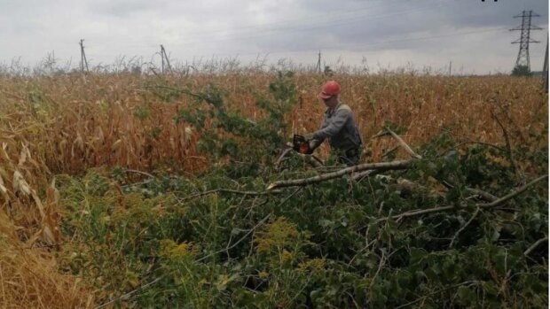 На Київщині через негоду 2 дні поспіль - без світла понад 70 000 родин