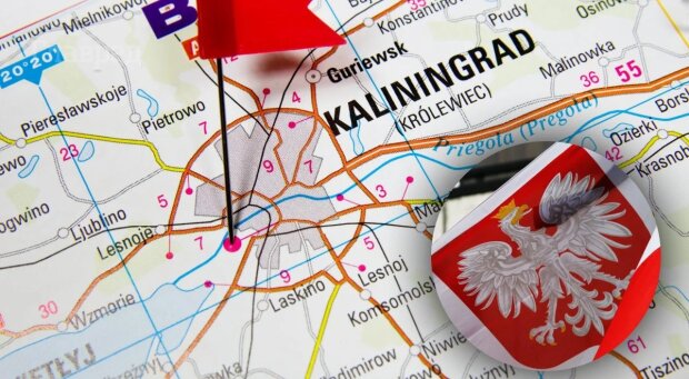 У Польщі офіційно перейменували Калінінград: у Кремлі вибухнули істерикою