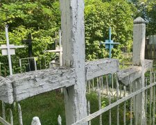 Ні пластиковій пам'яті: киян просять відмовитися від штучних квітів на цвинтарях