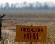 Окупанти пошкодили третину родючих земель України