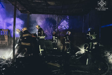 В Деснянському районі горіло сміття, яке спалило ще 3 автівки — ДСНС вгамували пожежу