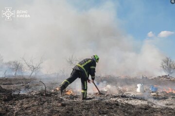 Весняні пастки: ДСНС попереджає про небезпеку льоду та пожеж