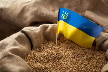 Словаччина призупиняє імпорт українського зерна, а Угорщина влітку може продовжити заборону