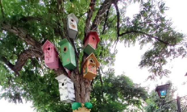 На Позняках дерево вбрали в сукню (фото)