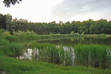 Козинська рада відбирає у Києва Жуків острів?