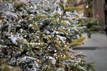 Стали відомі подробиці новорічних свят в Києві