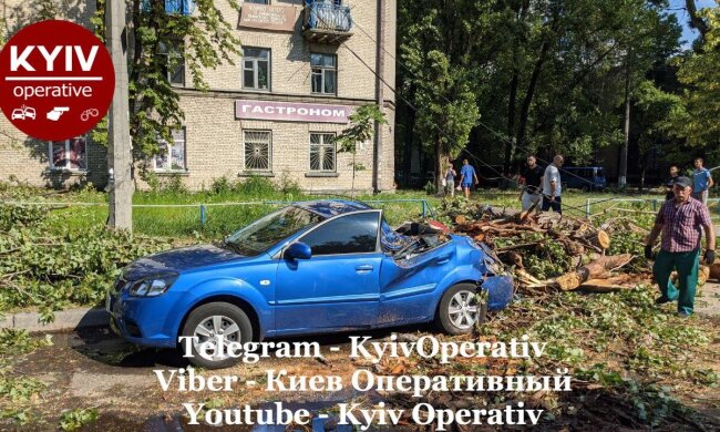 Масовий деревопад під час негоди: на вулицях Києва стоять розтрощені автівки (фото, відео)