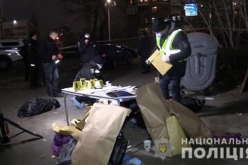 Вбив та розчленував: в Києві затримали ймовірного вбивцю (відео)