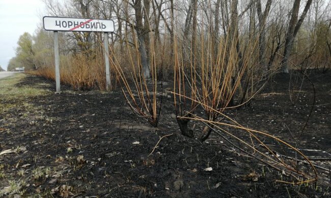 ЄС готовий допомогти в ліквідації пожеж в Зоні відчуження