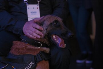 «Чотирилапі захисники» — столичного службового пса нагородили за виявлення великого пакунку наркотиків