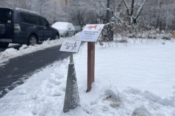 У столичному сквері встановили «пісуар для собак»